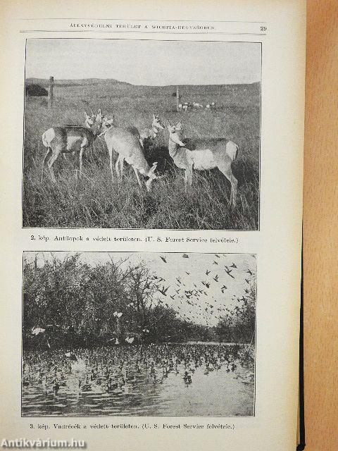Természettudományi Közlöny 1934. január-december/Pótfüzetek a Természettudományi Közlönyhöz 1934. január-december