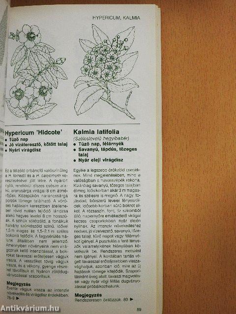 Cserjék és törpefák