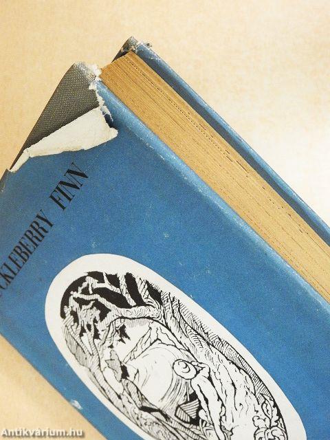 The adventures of Huckleberry Finn