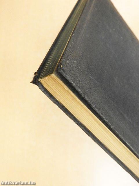 Das wirtschaftliche Amerika