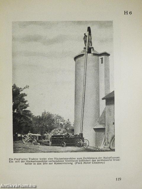 Das wirtschaftliche Amerika