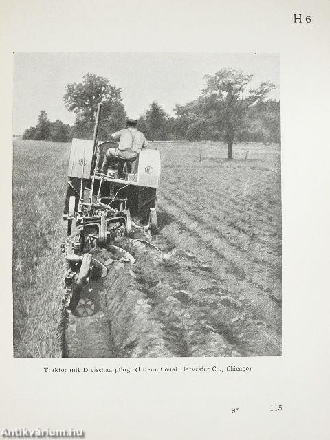 Das wirtschaftliche Amerika