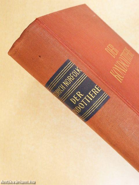 Der kondottiere (gótbetűs)