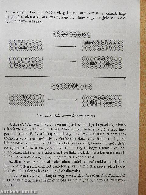 A viselkedés pszichológiai alapjai
