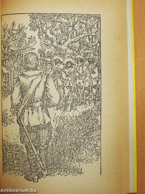 Az Orinoco folyónál