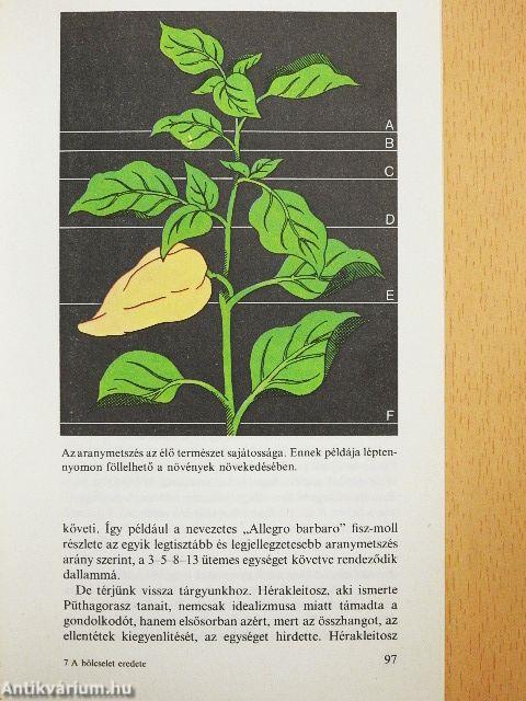 A bölcselet eredete