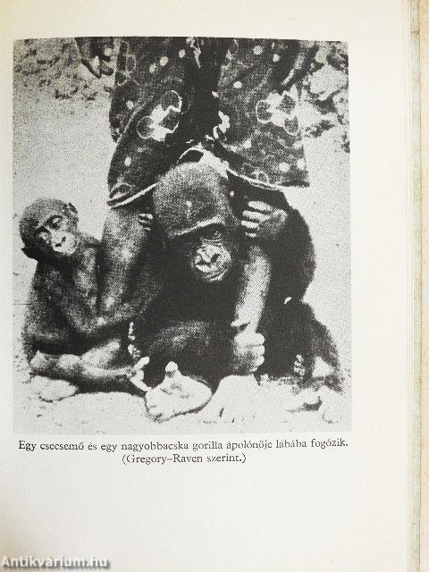 Az ember ősi ösztönei