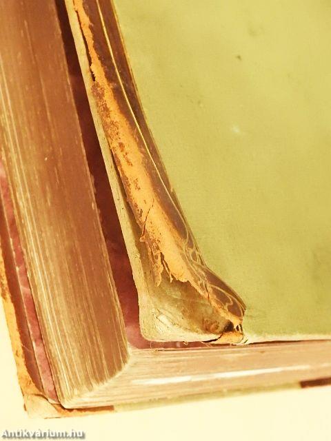 Weltall und Menschheit I. (gótbetűs) (rossz állapotú)