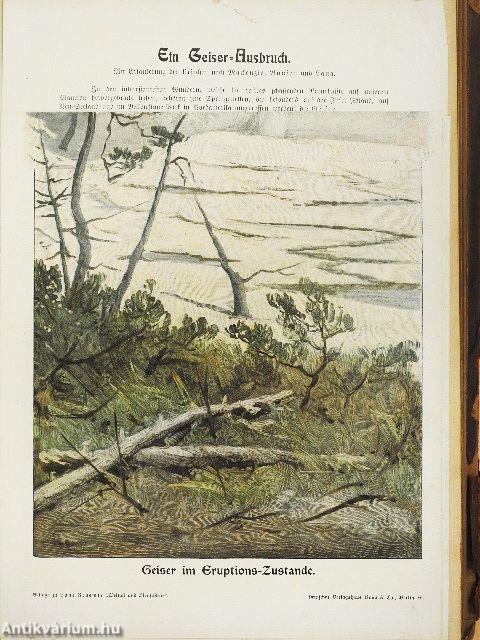 Weltall und Menschheit I. (gótbetűs) (rossz állapotú)