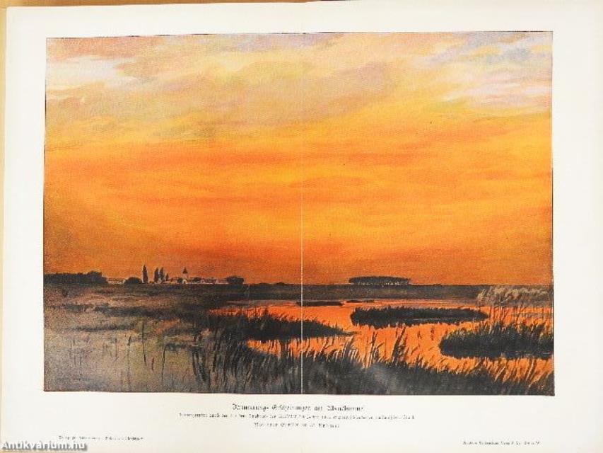 Weltall und Menschheit I. (gótbetűs) (rossz állapotú)