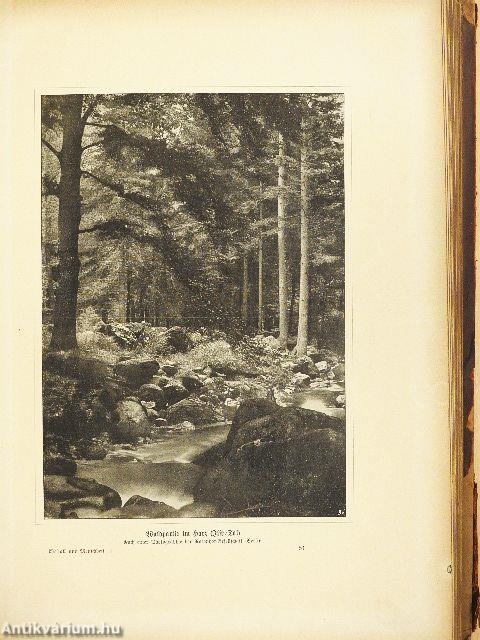 Weltall und Menschheit I. (gótbetűs) (rossz állapotú)