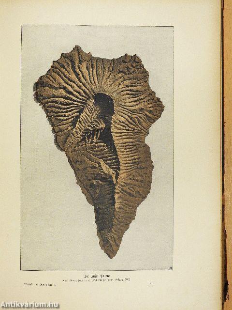 Weltall und Menschheit I. (gótbetűs) (rossz állapotú)