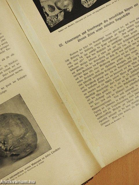 Weltall und Menschheit II. (gótbetűs) (rossz állapotú)