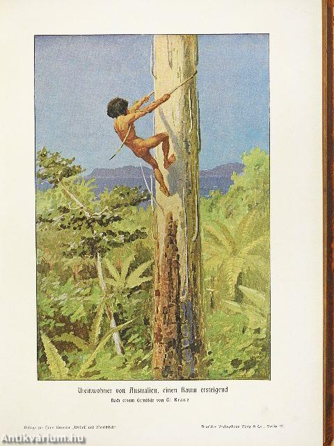 Weltall und Menschheit II. (gótbetűs) (rossz állapotú)