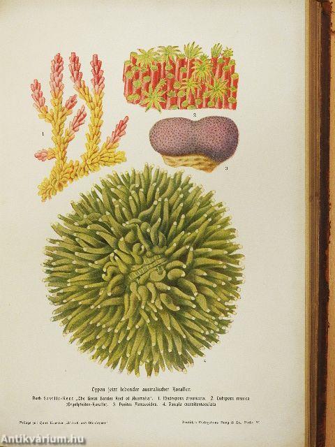 Weltall und Menschheit II. (gótbetűs) (rossz állapotú)