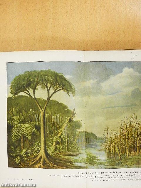 Weltall und Menschheit II. (gótbetűs) (rossz állapotú)