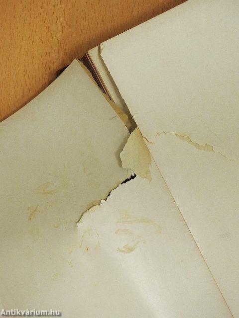 Weltall und Menschheit II. (gótbetűs) (rossz állapotú)