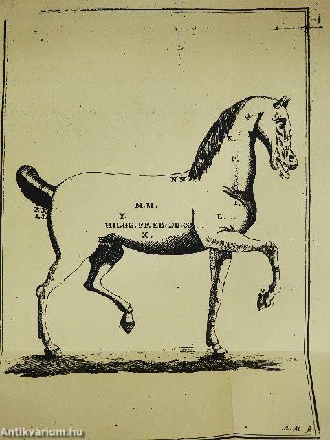 Lovakat orvosló-könyv