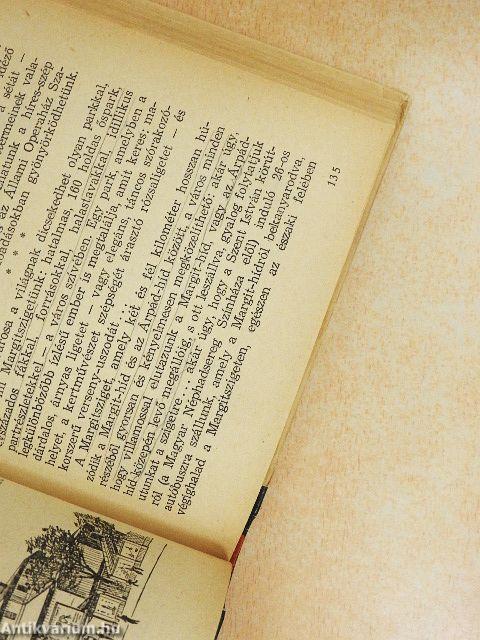 Budapesti zsebkalauz