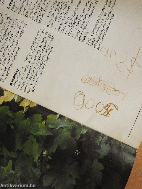 Mikroelemhiány gyógyítására és megelőzésére gyümölcs-, szőlő- és szántóföldi kultúrákban: Sequestren