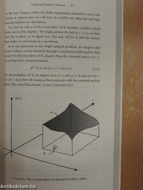 Emmy Noether's Wonderful Theorem