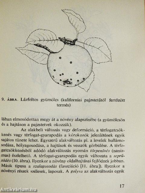 Kertészek növényvédelmi zsebkönyve