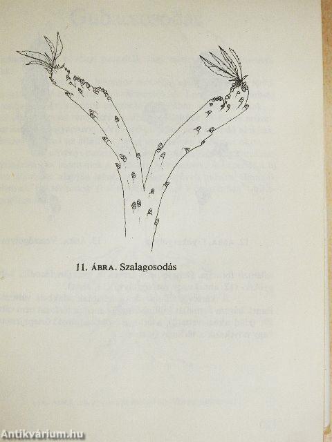 Kertészek növényvédelmi zsebkönyve