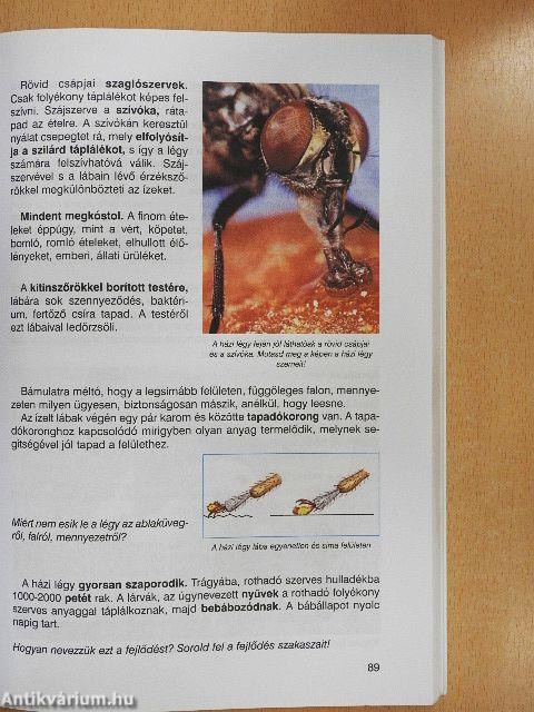 Természetismeret 5.