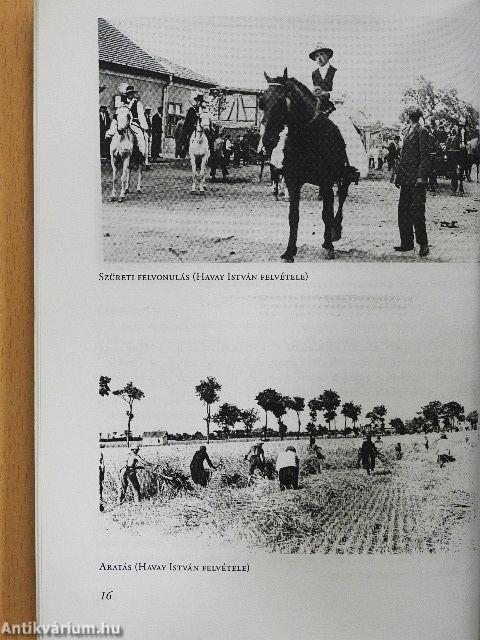 Sorsok - Életek - Családok I.