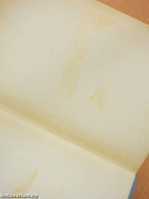 Magyar-cseh szótár