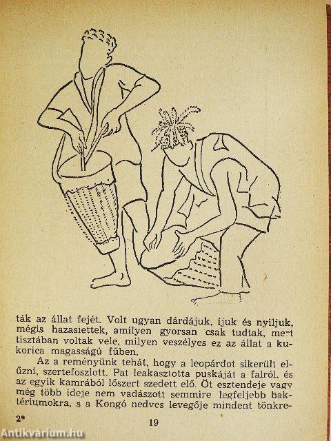 Nyolc év Kongó törpéi között