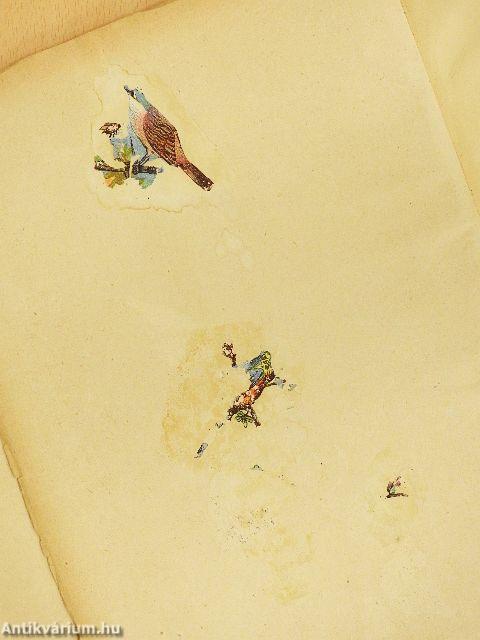 Meselámpa (rossz állapotú)