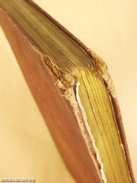 Vingt mille lieues sous les mers I-II. (rossz állapotú)