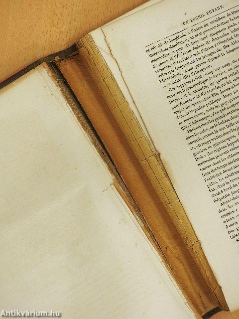 Vingt mille lieues sous les mers I-II. (rossz állapotú)