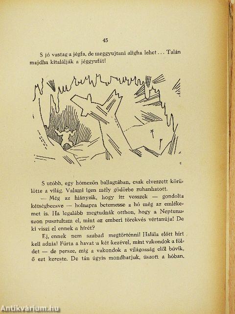 A csillagjáró (rossz állapotú)