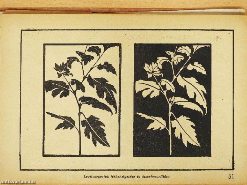 A rajzolás iskolája kezdettől a müvészetig (rossz állapotú)