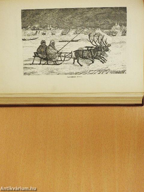 Egyetemes irodalomtörténet IV. (rossz állapotú)