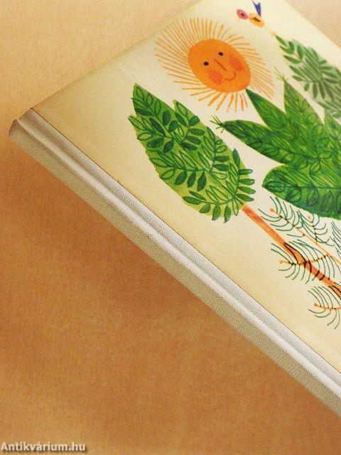 Miért van levél a fákon?