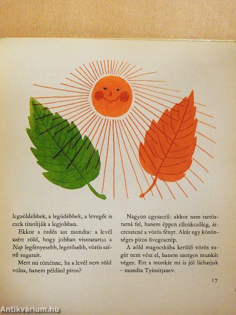 Miért van levél a fákon?