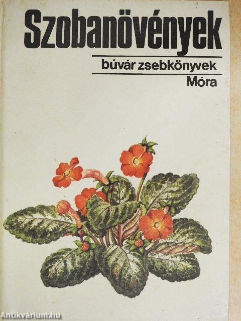 Szobanövények