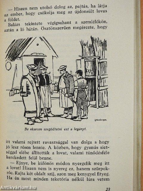 A magyar föld meséje