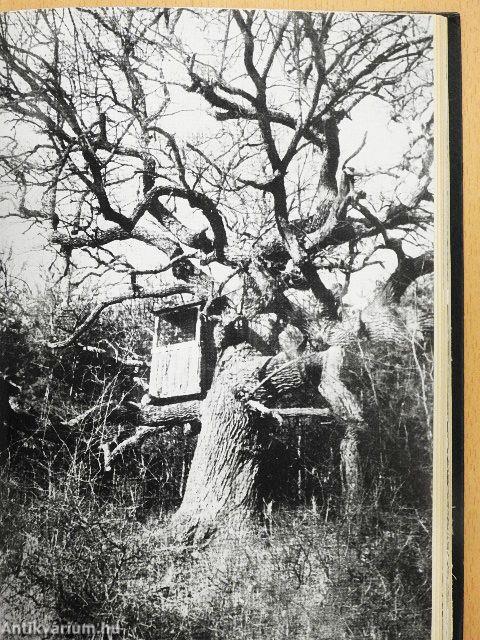 Minden nap vadásznap