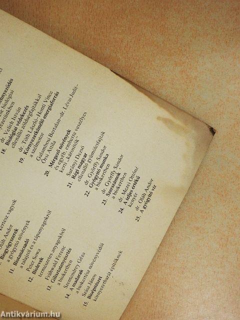 A teljes értékű kenyér