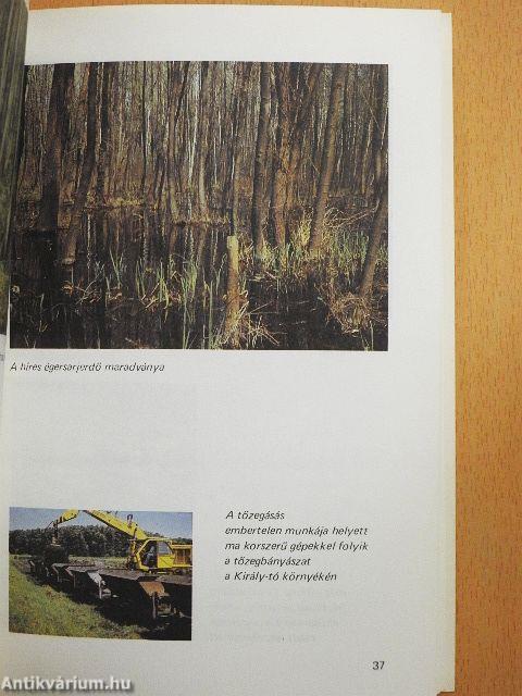 A Fertő-tó és a Hanság