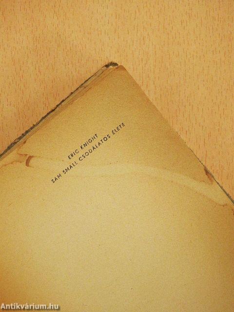 Sam Small csodálatos élete