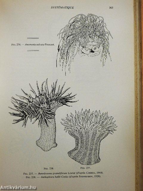 Traité de Zoologie III.
