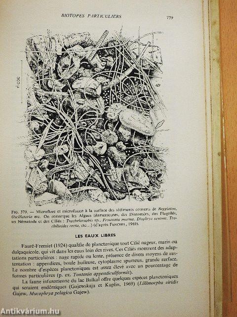 Traité de Zoologie II.