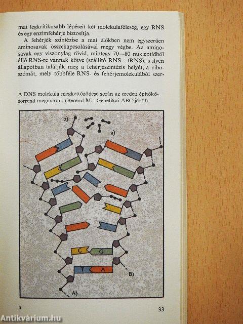 Az élet keletkezése