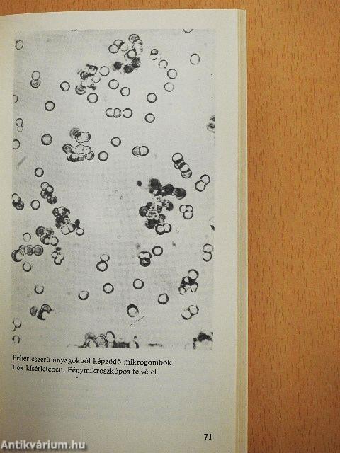 Az élet keletkezése