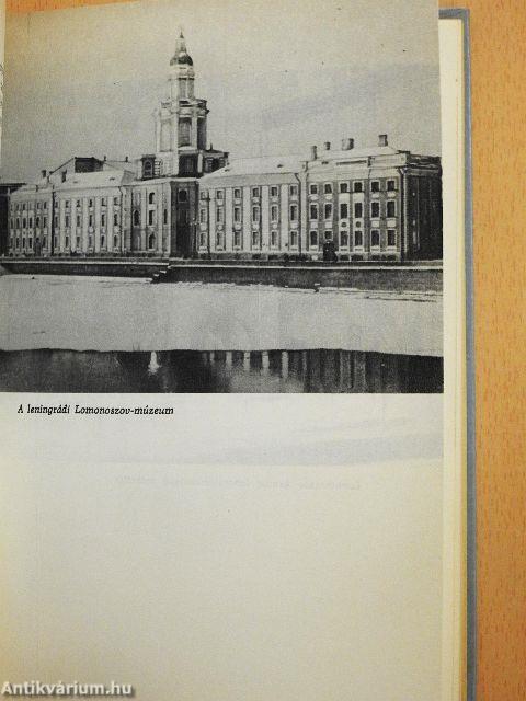 "Nyugalmat nem ismerek"